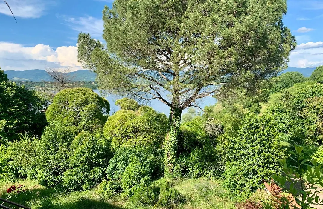 Villa del lago-1